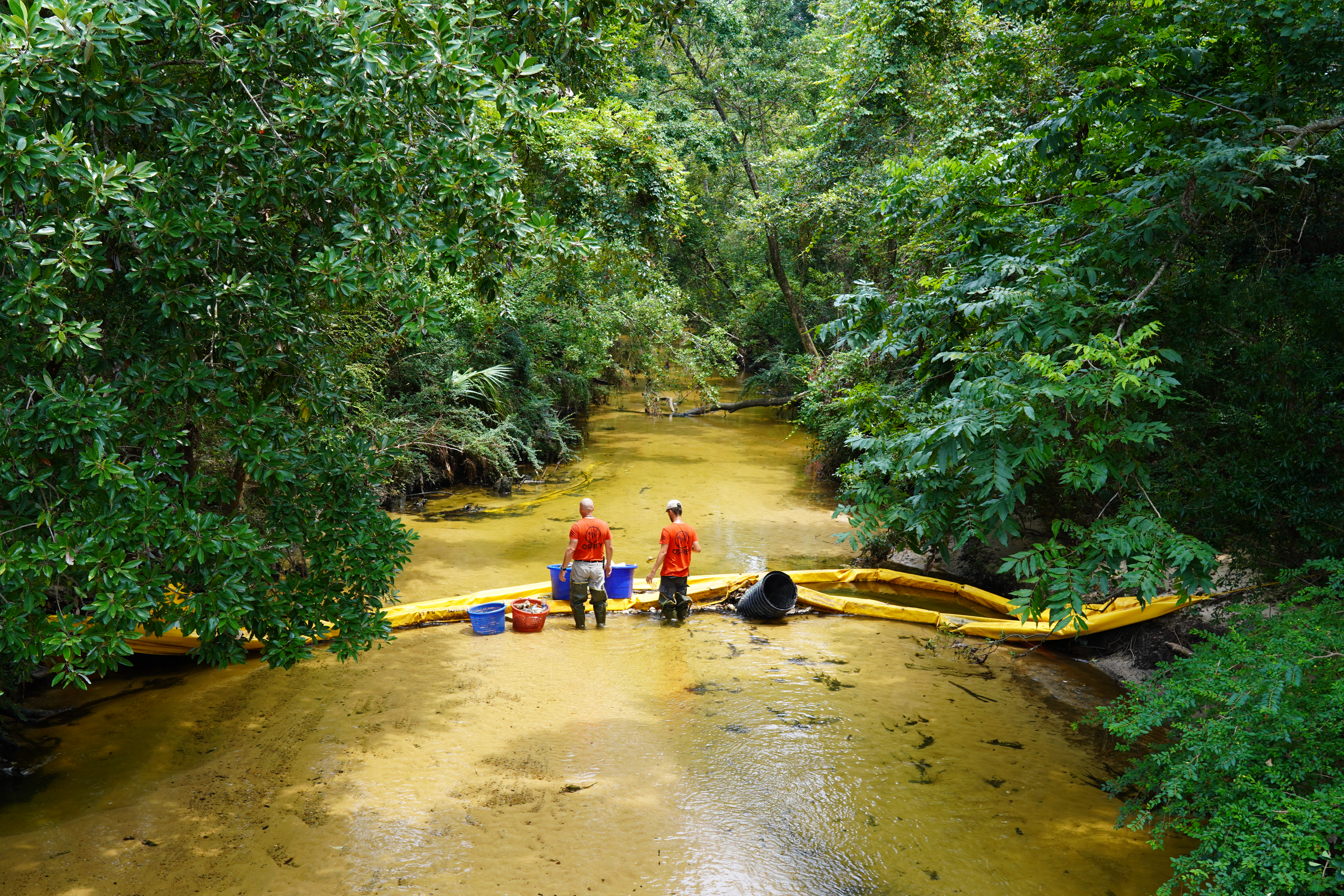 Cleaning litter boom at Carpenter Creek