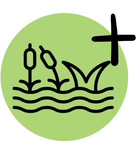 soft solutions icon