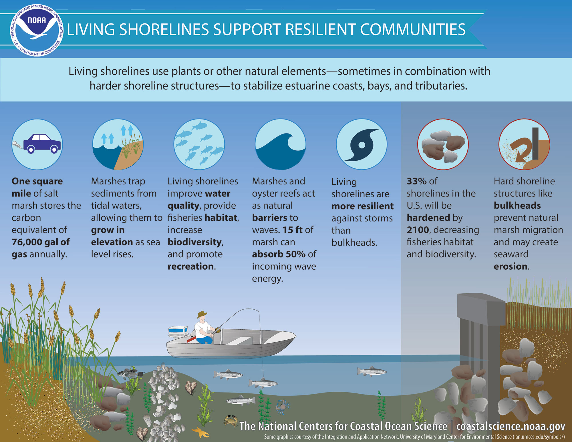 Infograhpci showing benefits of living shoreline over a retaining wall