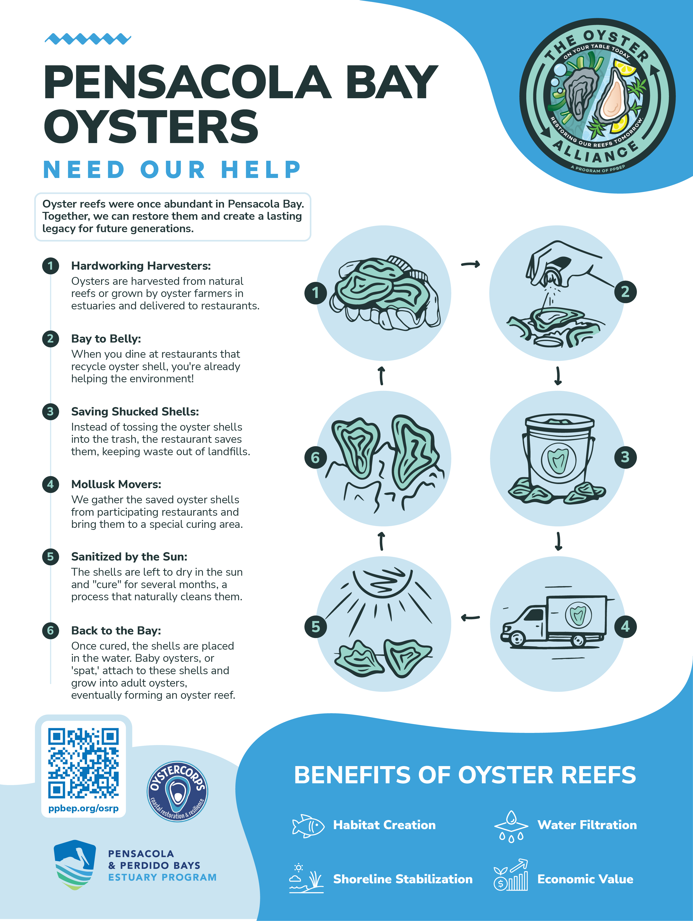 Poster of oyster shell recycling process steps