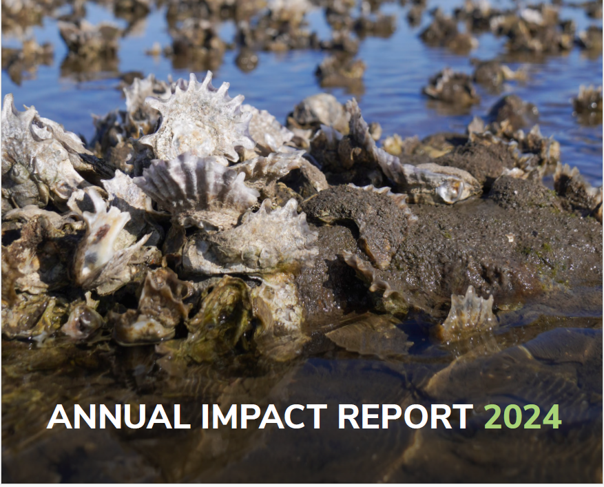 Photo of oyster bar with "Annual Impact Report 2025" overlaid