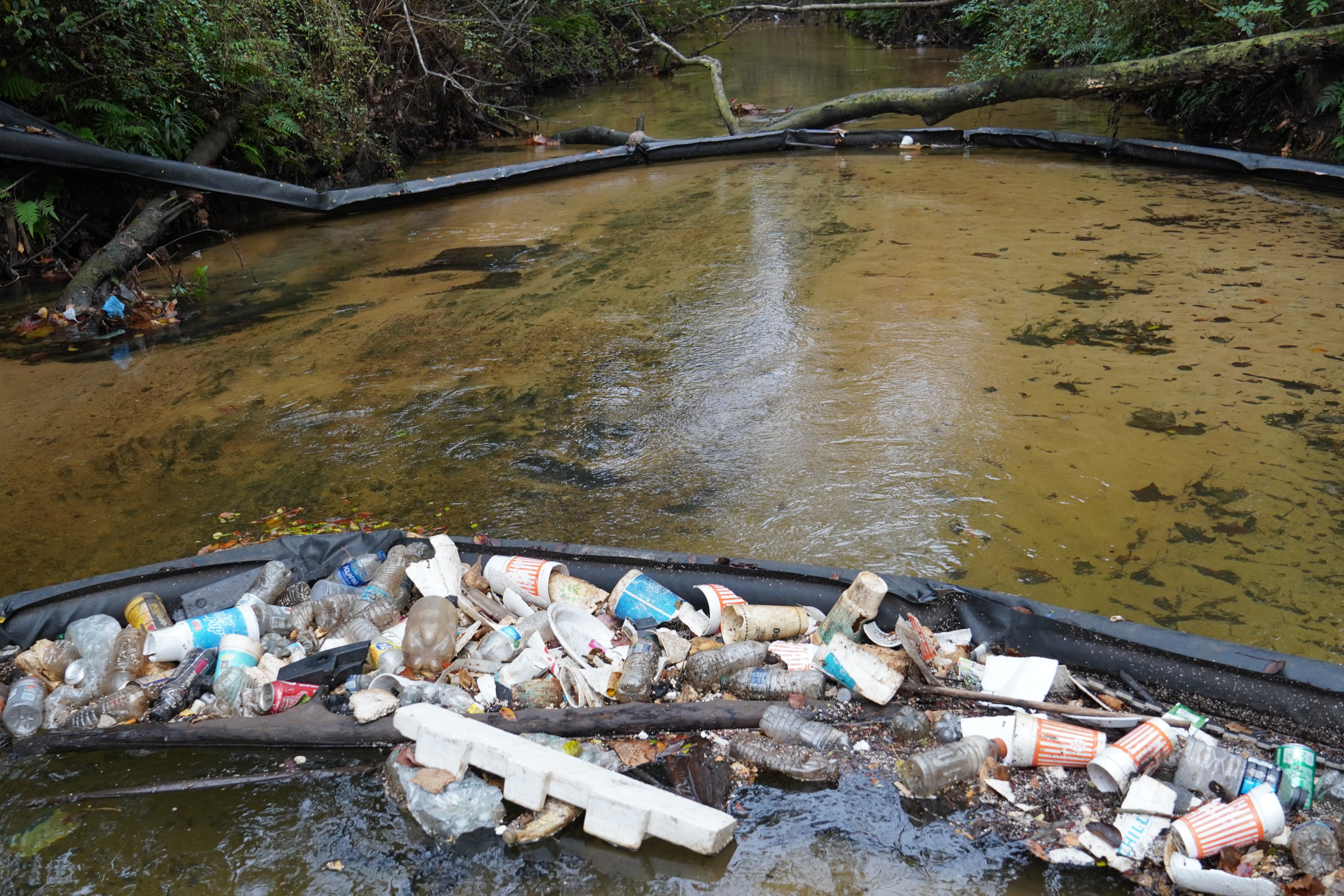 Litter boom full of trash in Carpenter Creek