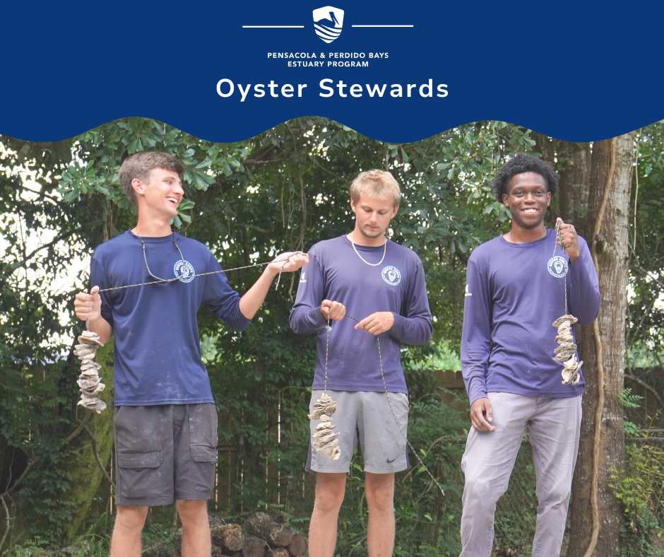 Image of three young adults standing with oyster shell on rope