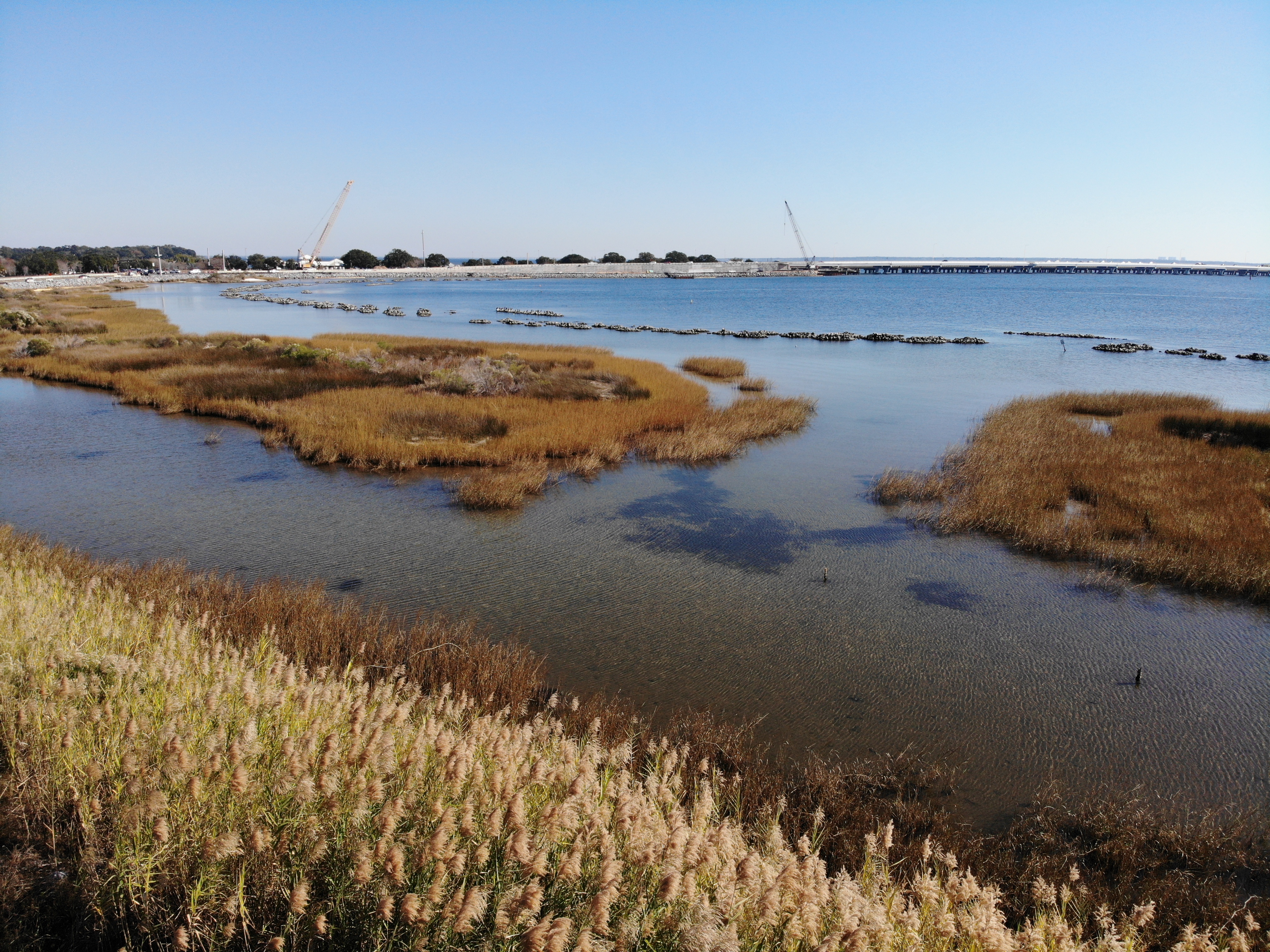 Large scale living shoreline at Project Greenshores