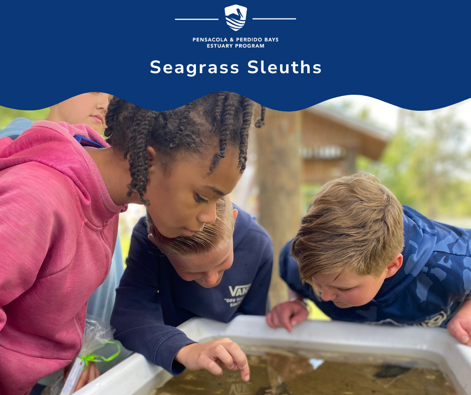 Three youth looking down at a touch tank