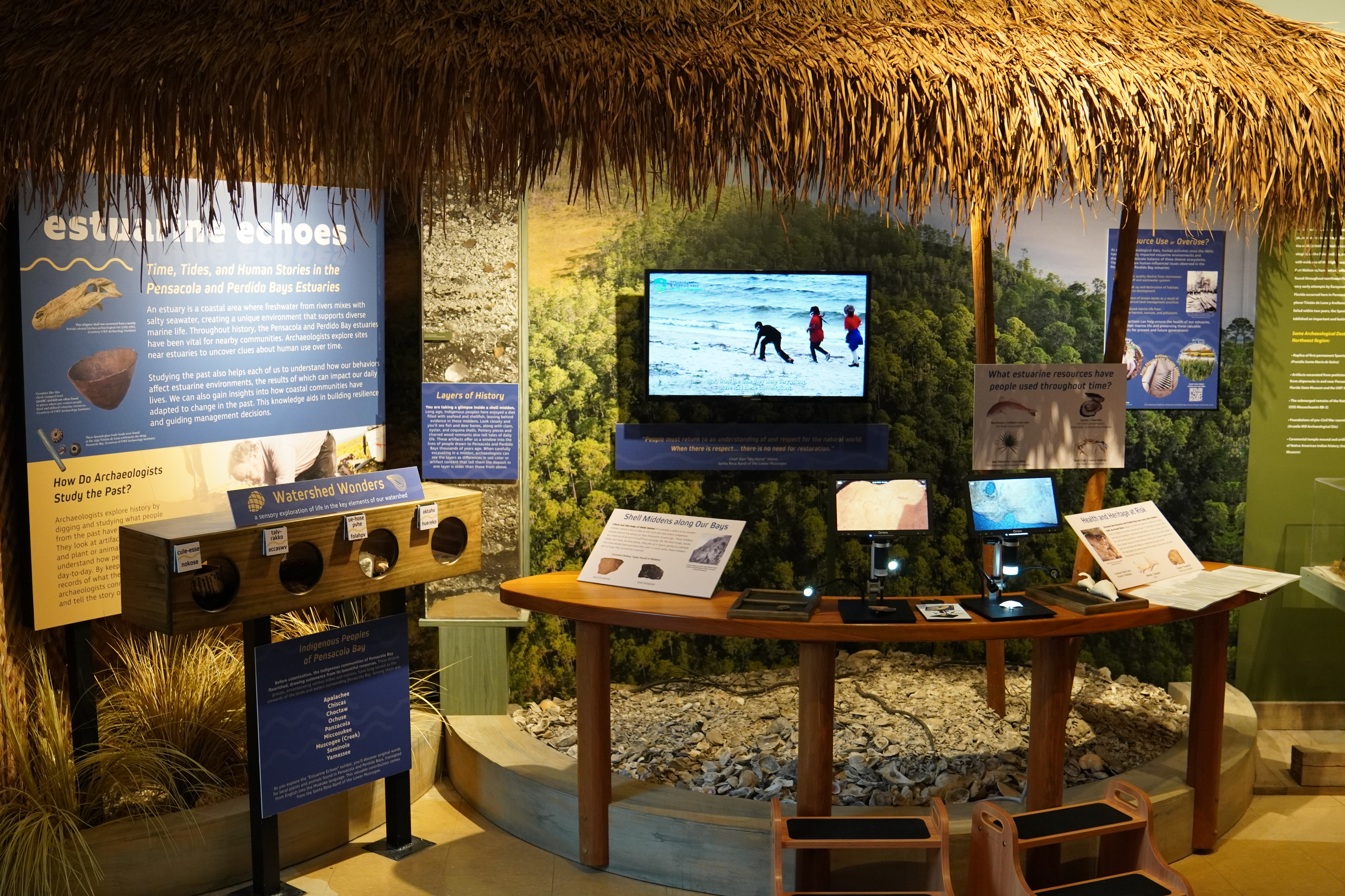 Estuarine exhibit with computer screen, microscope, and informational panels