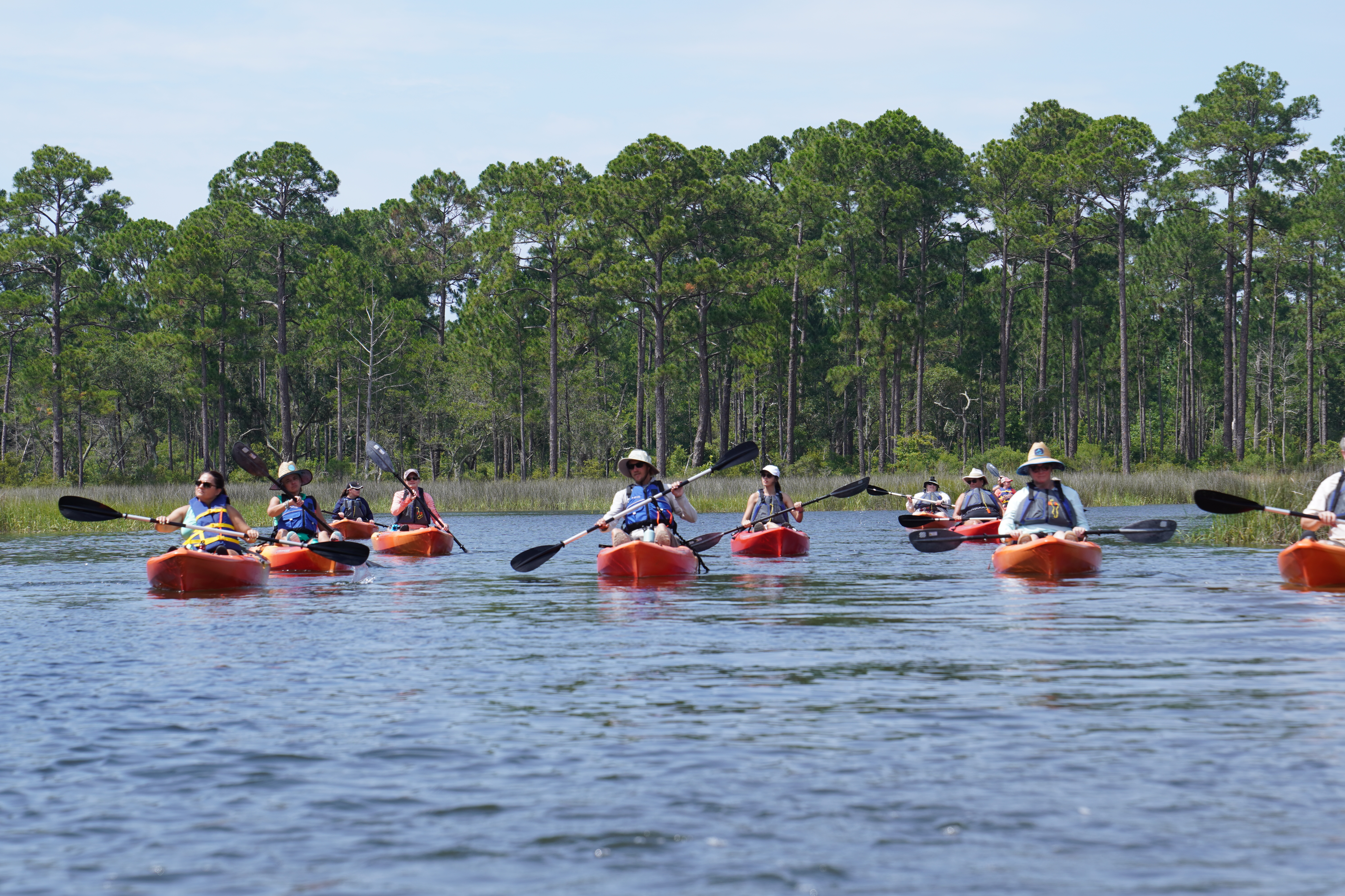 Group kayaking through the marsh 