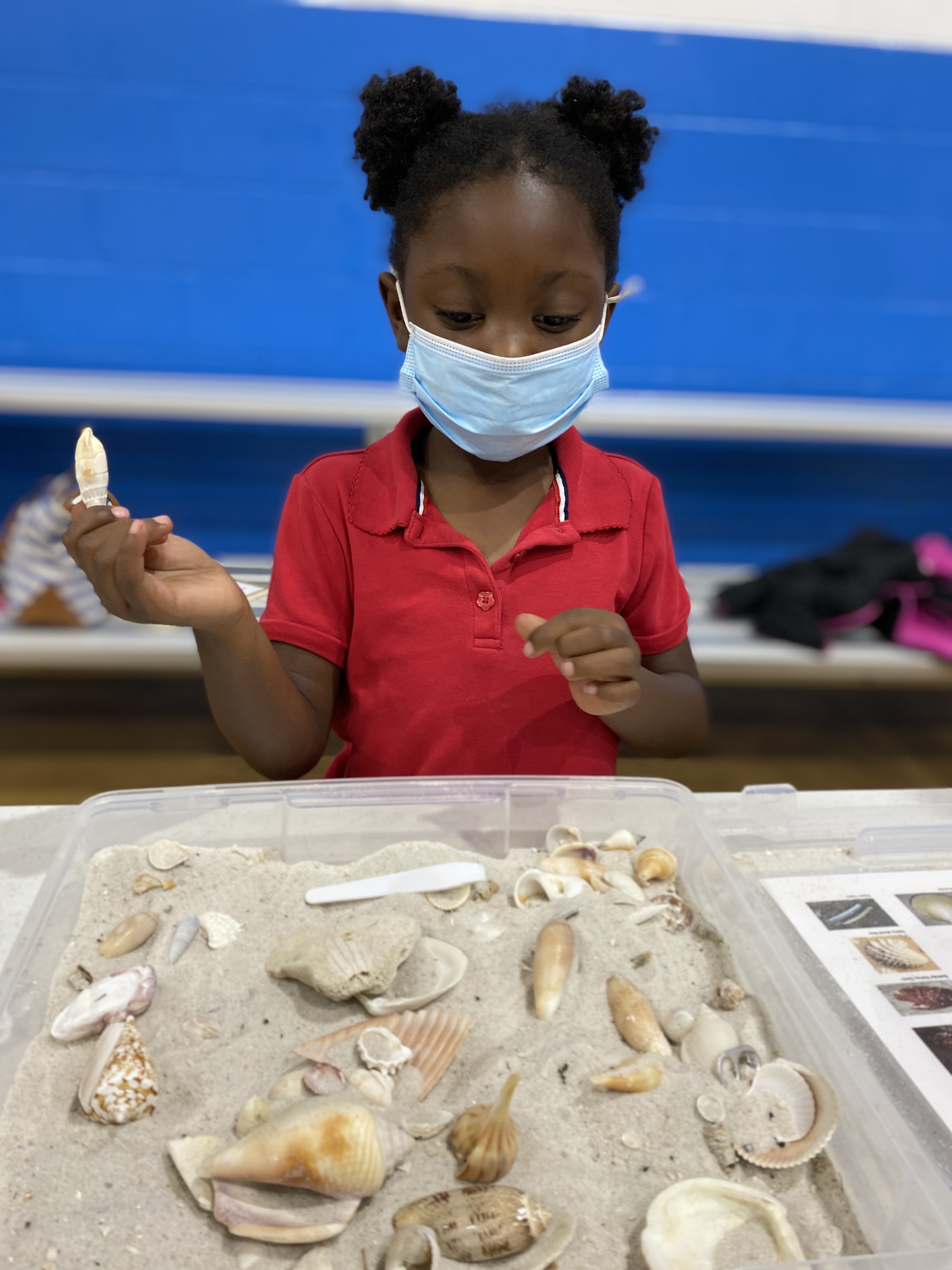 Child holding a shell