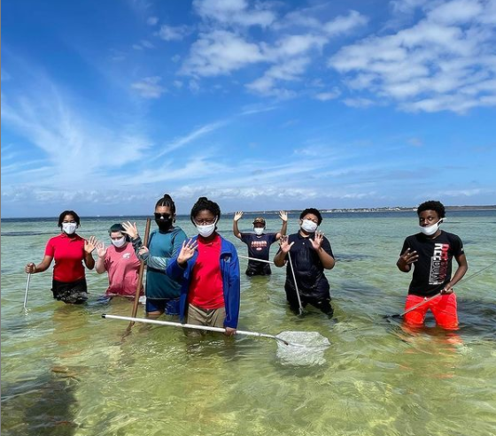 Students in water with dipnets