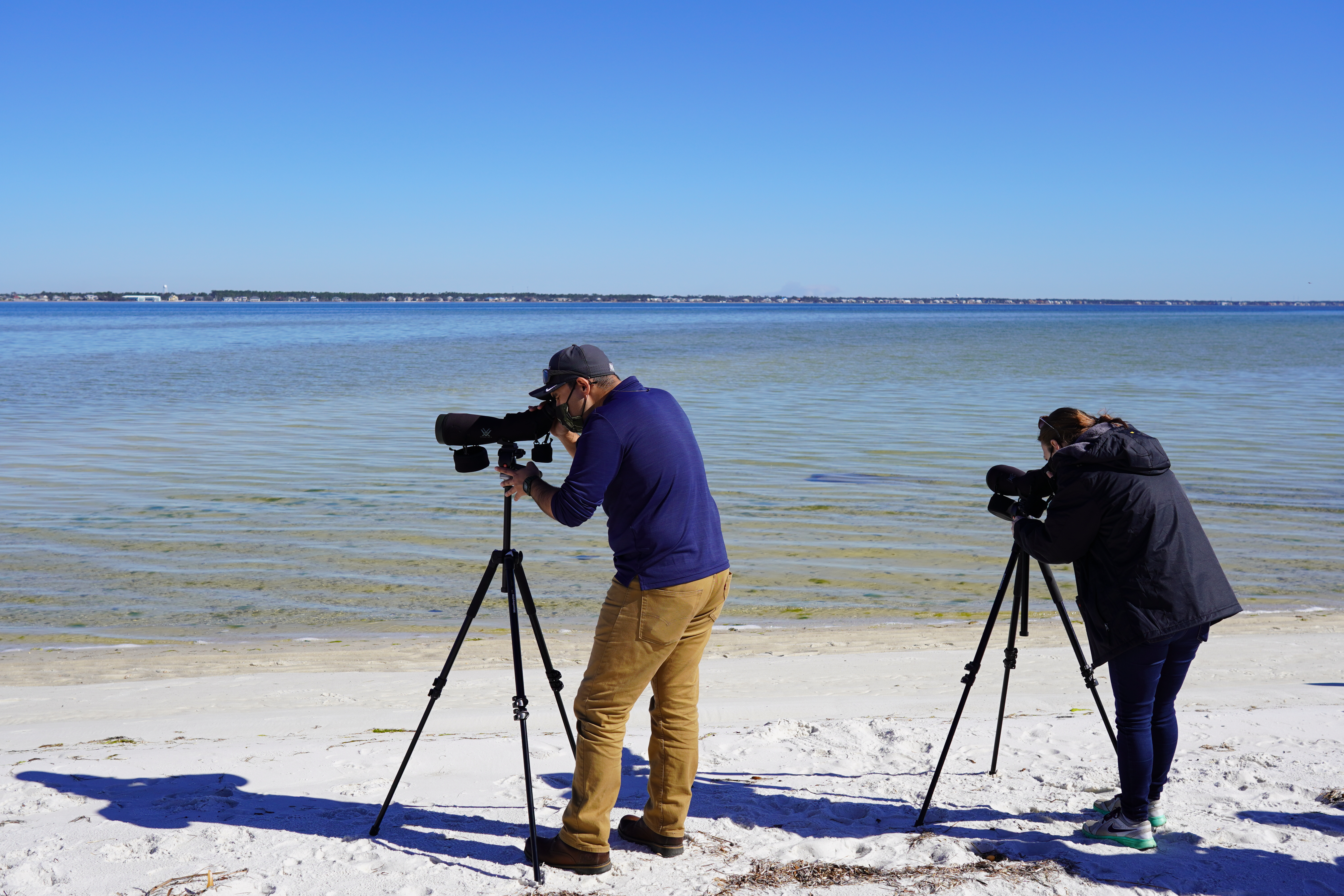 REsearchers watching waterfowl through spotting scope on beach