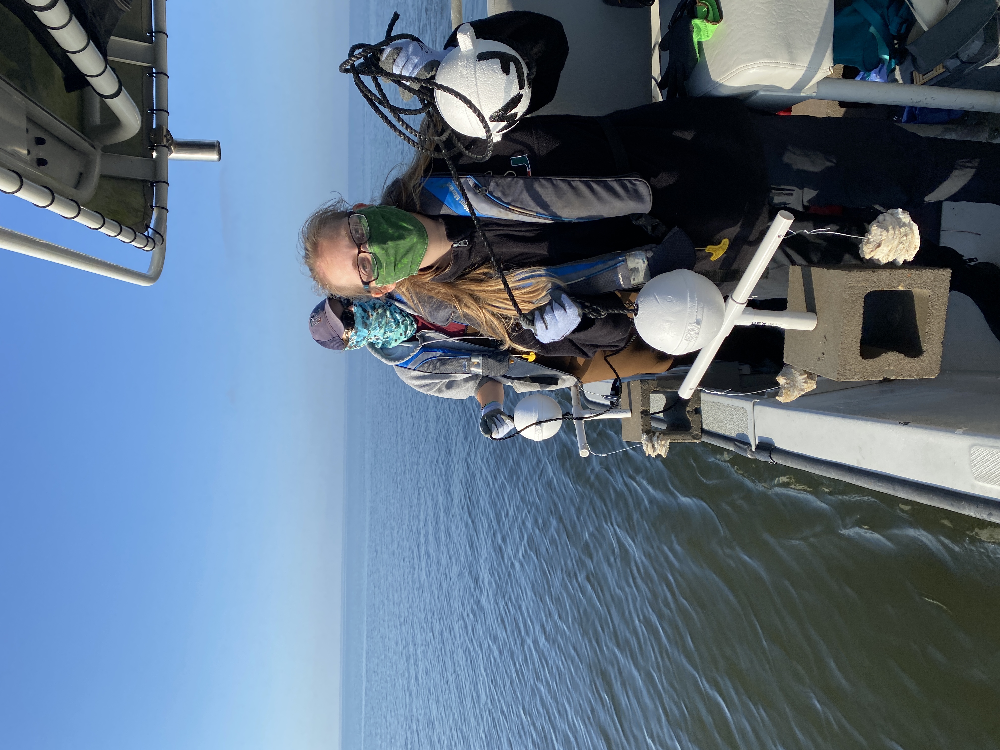 Researchers holding oyster spat arrays on side of boat