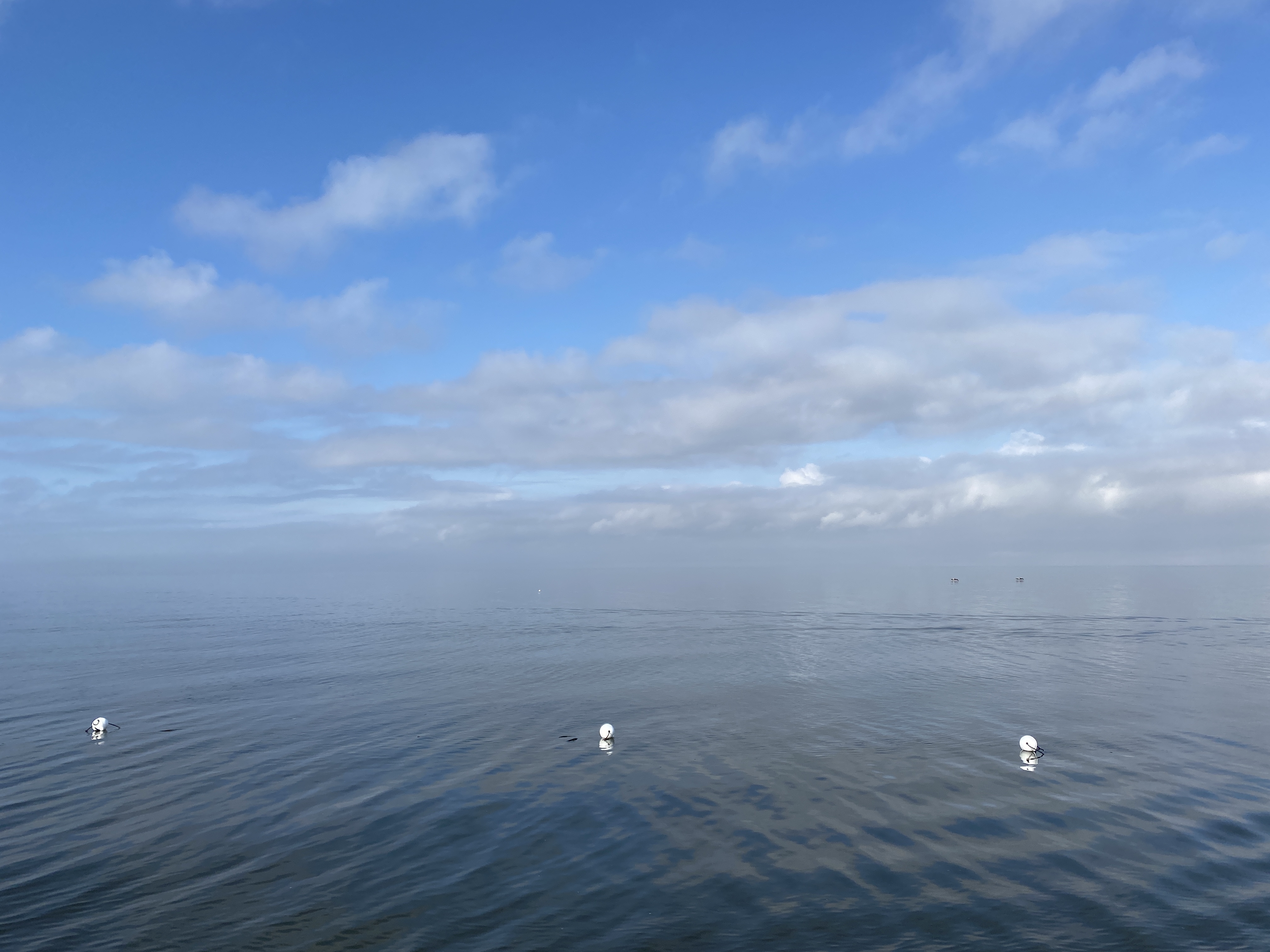 three buoys in the water