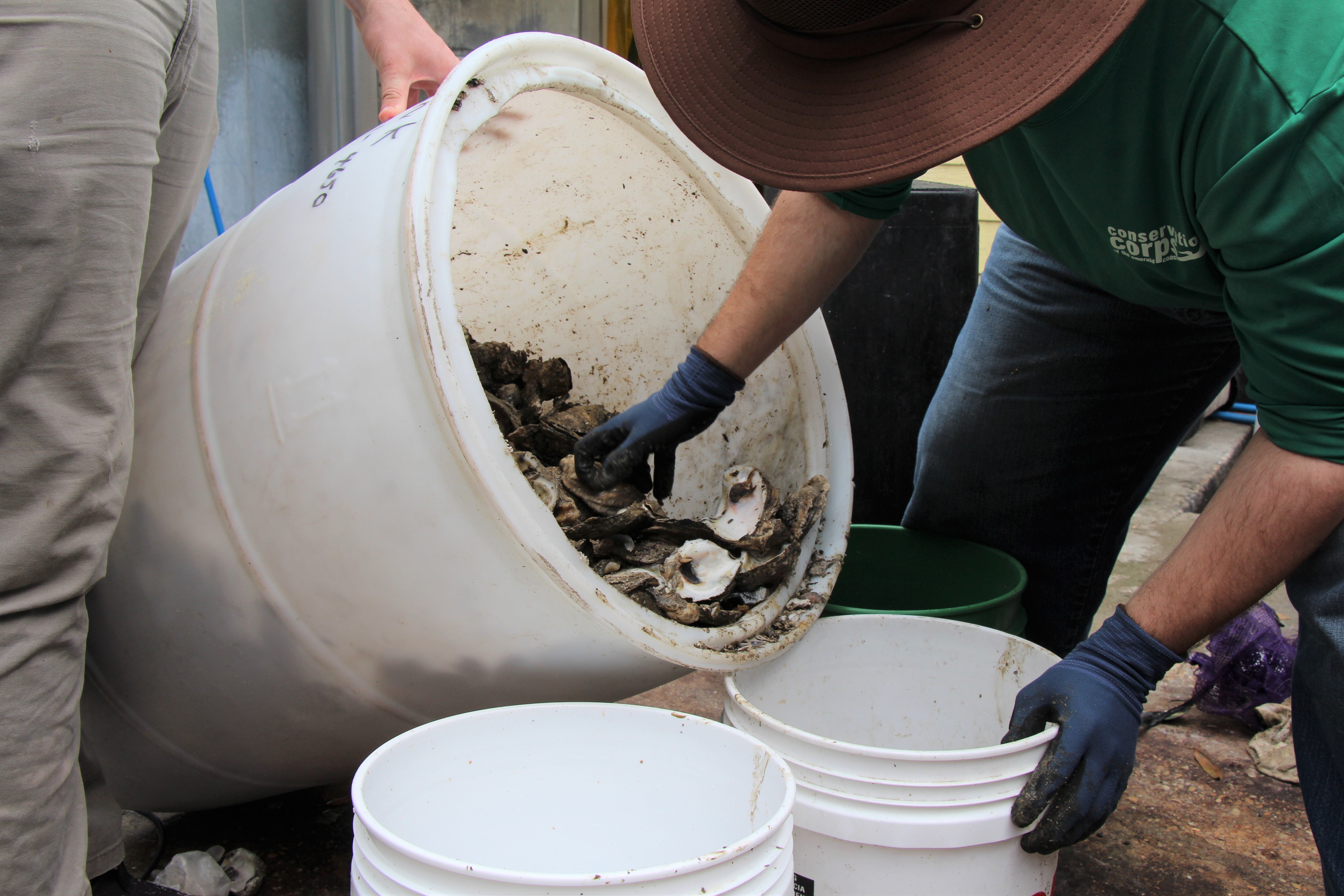 EscaRosa Corps members recycling oyster shell